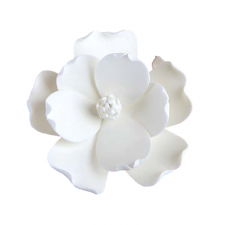 Flower - Magnolia - Medium - White