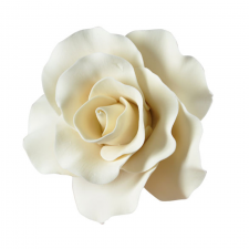 Flower - Rose - Ivory - Lge (jl)