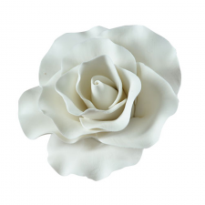 Flower - Rose - White - Lge (jl)