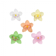 Flower - Petite Orchid - Assorted