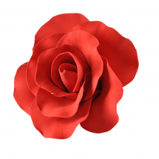 Flower - Rose - Red - Lge