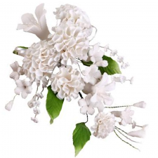 Flower - Carnation Spray - White